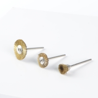 Brass Brushes mounted
