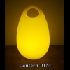  LED Lantern 