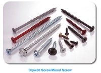 Drywall Screw/Wood Screw
