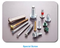 Special Screw