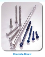 Concrete Screw