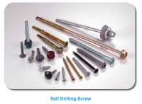 Self Drilling Screw