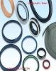 hydraulic seals