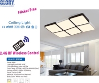 2.4G RF Remote high end Ceiling Light