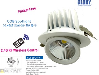 2.4G RF Remote Spot Light