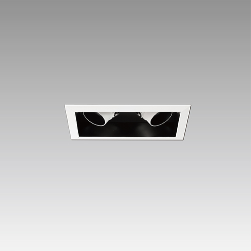 COB Adjustable Downlight - Matrix System