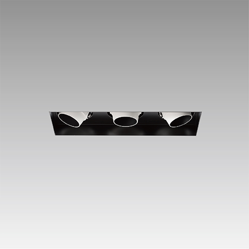 COB Adjustable Downlight - Matrix System Trimless