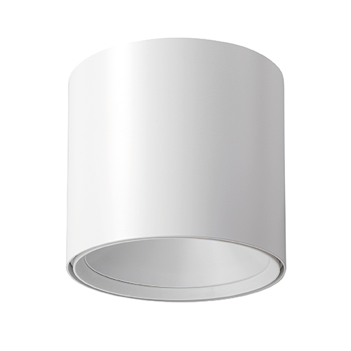 Ceiling Light (Standard )