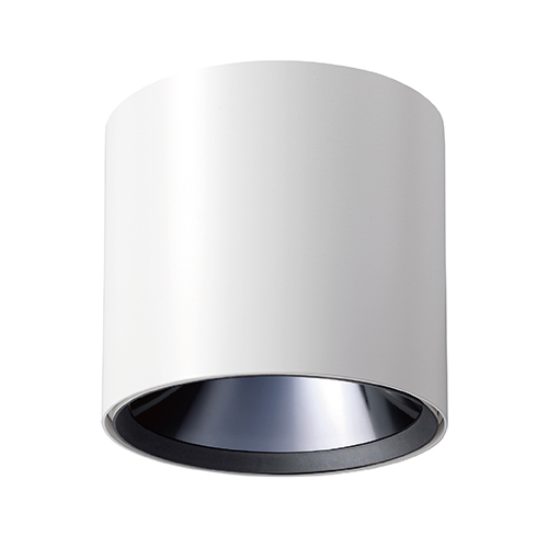 Ceiling Light (Standard )