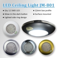 LED Ceiling Light