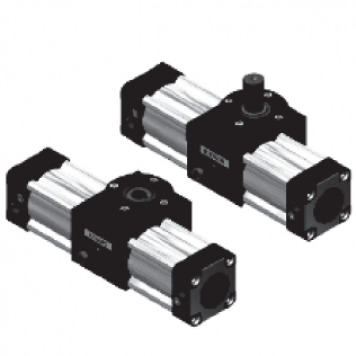 Pneumatic Rotary Actuator