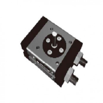 Pneumatic Rotary Actuator