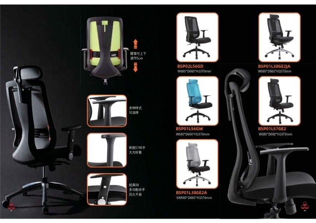 BSP SERIES BSP SERIES