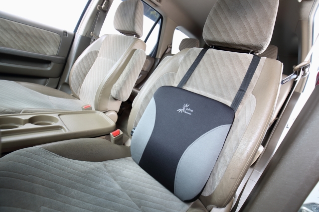 Adjustable Lumbar Support Adjustable Lumbar Support
