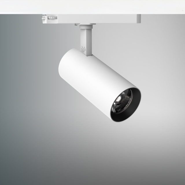 Track Light-Aster Track Light-Aster