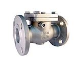 Flange End Check Valve