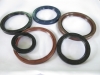 Oil Seals