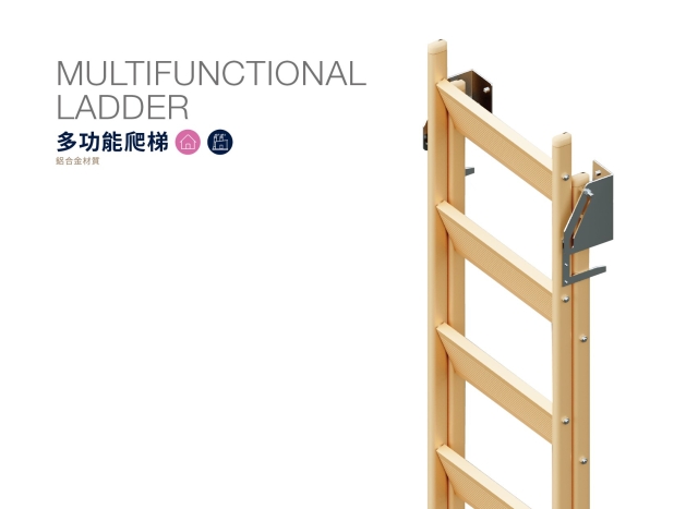 MULTIFUNCTIONAL LADDER