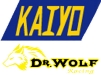 KAIYO IND. CO., LTD.<br>YI FONG IND. SAGETY PRODUCTS CO., LTD.