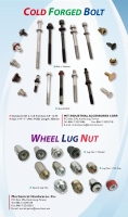 Special Bolts & Nuts for Automotive