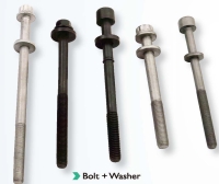 Cold Forged Bolt + Washer