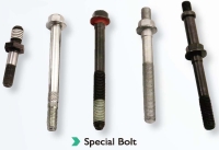 Special Bolt