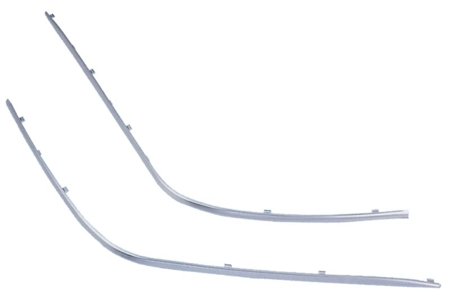 F.BUMPER MOULDING W/CHROME L W210 00-