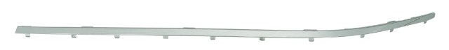 F.BUMPER CHROME MOULDING LH E66 06-