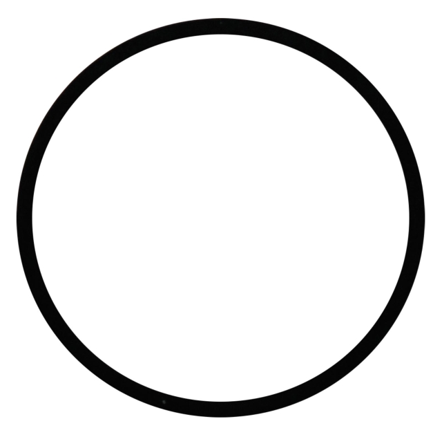 THERMOSTAT OIL SEAL W211 180K 02-