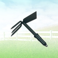 Rakes, Hoes and Forks Rakes, Hoes and Forks