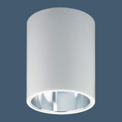 Y-403-E27 Ceiling Mounts