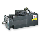 Induction Servo Motor - SF(IP54) Series