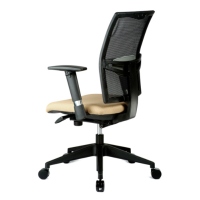 V-Mesh Low Back Office Chair