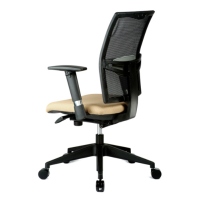 V-Mesh Low Back Office Chair V-Mesh Low Back Office Chair