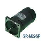 GR-M29SP/SGS GR-M29SP/SGS