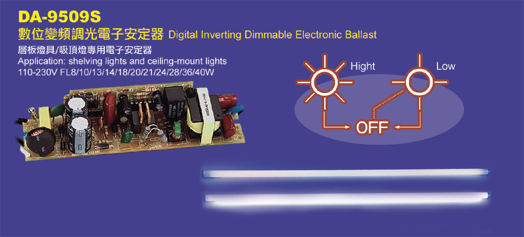 Digital Inverting Dimmable Electronic Ballast