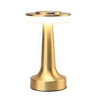 Rechargeable LED Mood Light Rechargeable LED Mood Light