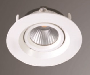 Recessed LED Down Light