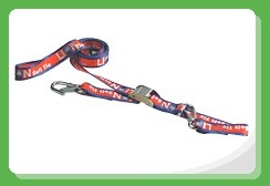 Cambuckle Tie Down