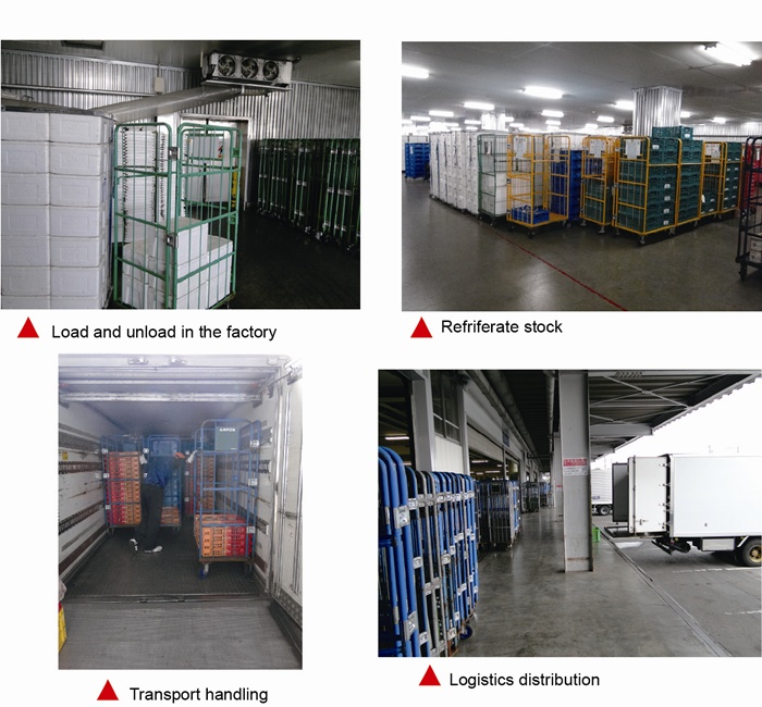 Instruction Manual for Cold Chain Logistics & Warehousing
