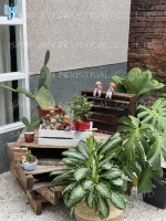 壁挂花箱