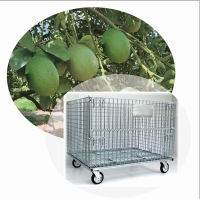 Mesh Cages Trolley for Goods Transportation