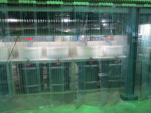 Vacuum Processing Equipment
Vacuum Processing Equipment