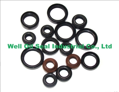 Oil Seal for Motorcycle