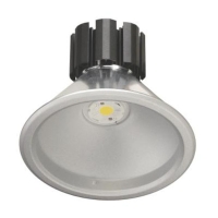 30W ZHAGA REPLACEABLE CHIP DOWNLIGHT