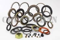 Oil Seal for Truck, Bus