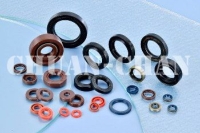 Oil Seal for Marine