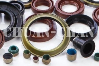 Oil Seal for Bearing