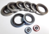 PTFE seals 