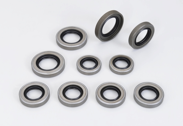 PTFE Seals